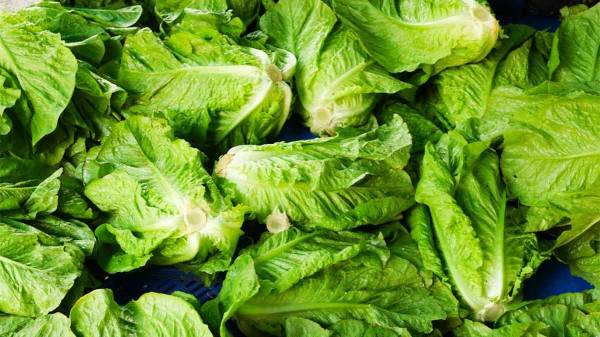 Makan Sayuran Ini untuk Bebas dari Pilek dan Flu