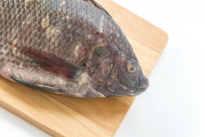 5 MANFAAT KULIT IKAN NILA UNTUK LUKA BAKAR