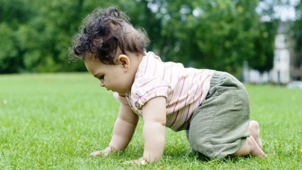 Kenali Gaya Bayi Merangkak yang Normal