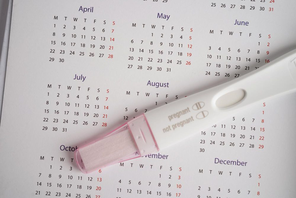 tes ovulasi, hasil tes ovulasi positif, alat tes ovulasi, ovulasi tes, tes ovulasi saat hamil, waktu yang tepat untuk tes ovulasi, cara membaca tes ovulasi, yesdok
