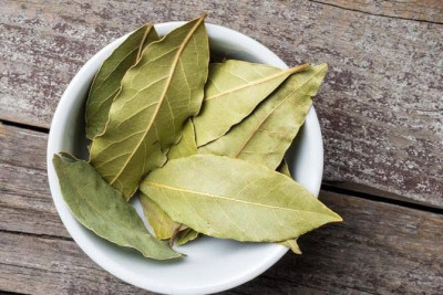 Ketahui Khasiat Daun Salam, Si Bumbu Dapur yang Baik Bagi Kesehatan