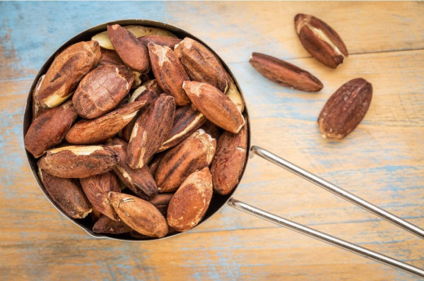 Manfaat Kesehatan dari Kacang Pili