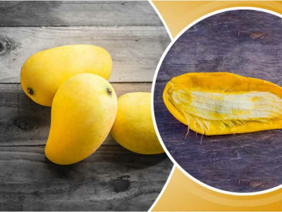 Manfaat Kesehatan Biji Mangga