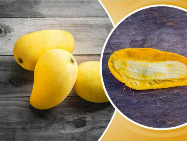 Manfaat Kesehatan Biji Mangga