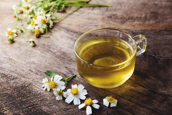 Rasakan Segera Kenikmatan dan Manfaat Teh Chamomile