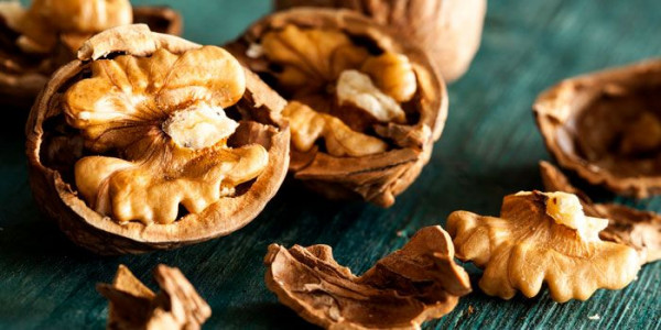 Kacang Kenari yang Bisa Redakan Tekanan Darah Tinggi