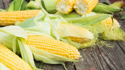 Ini Sayuran Tinggi Protein yang Baik untuk Tubuh