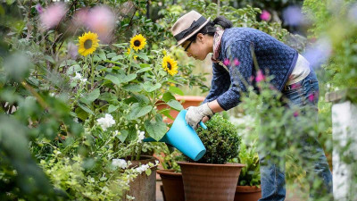 Manfaat Berkebun Bagi Kesehatan Mental