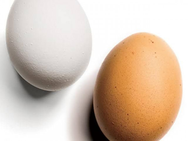 Telur Putih dan Telur Coklat, Mana yang Lebih Sehat?