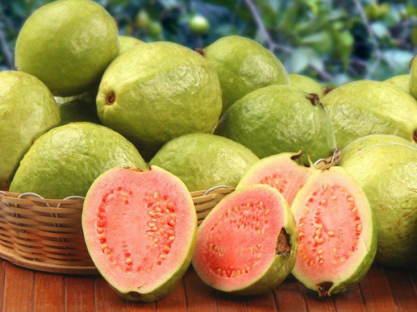 Jambu Biji yang Menyimpan Banyak Manfaat Kesehatan