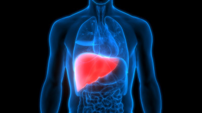 Tips untuk Meningkatkan Fungsi Liver dan Cegah Masalahnya