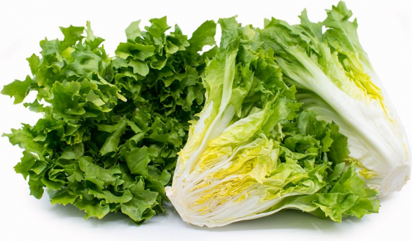 5 Manfaat Lettuce untuk Kesehatan