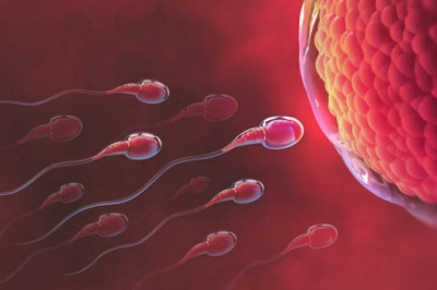 Mengenal Asthenozoospermia, Kondisi Pergerakan Sperma yang Lemah