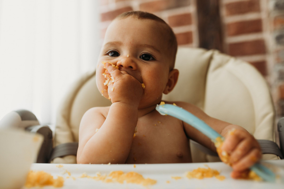 Pentingnya Zat Besi Untuk Bayi Dari Masa Kehamilan