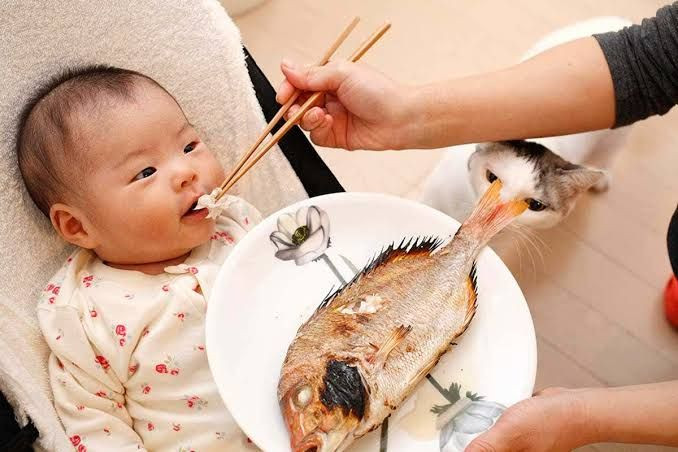 Porsi Makan Ikan Untuk Anak