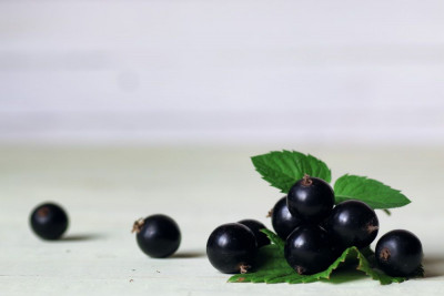 Studi: Manfaat Blackcurrant Bagi Pemulihan Latihan