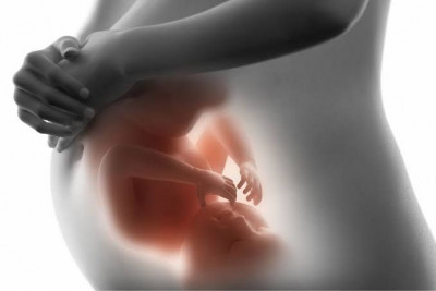 Apakah Bayi Bisa Melihat Isi Perut Ibu? Ini Penjelasannya