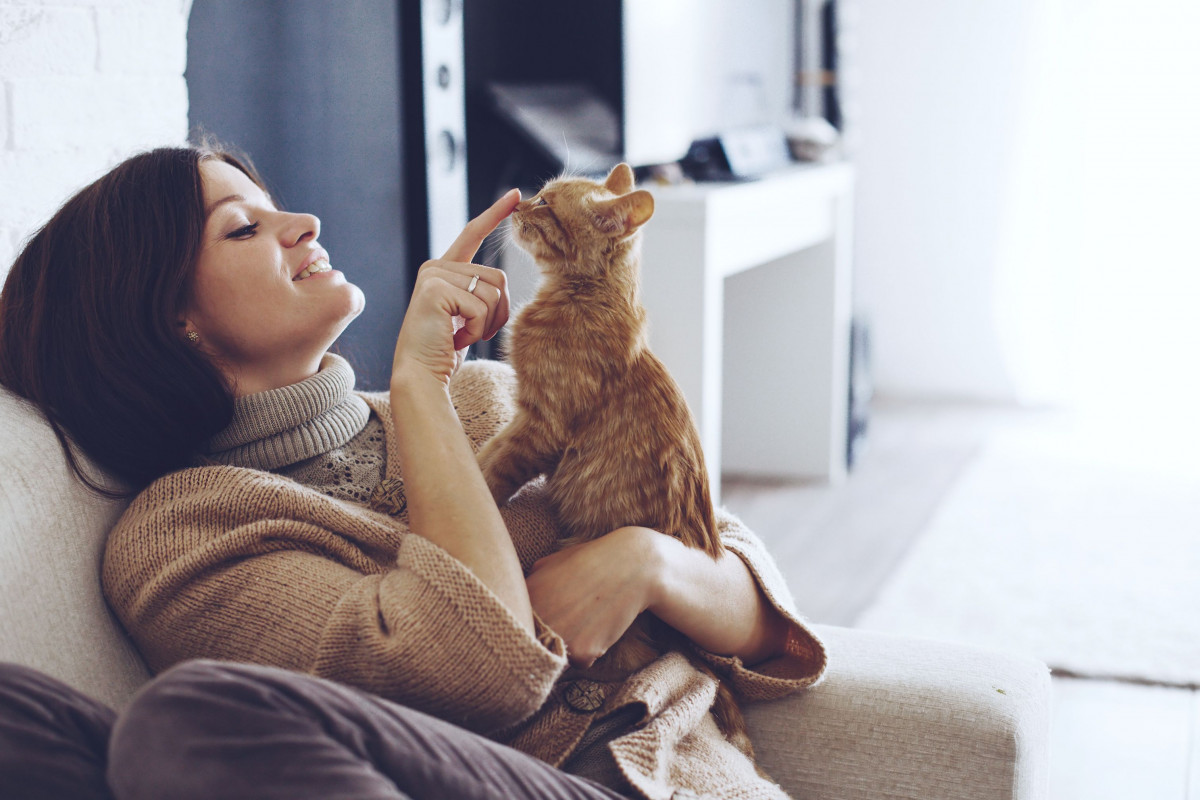 Wanita sedang bermain dengan kucing.