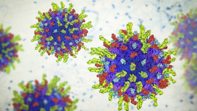 Uji Coba Pengobatan Kanker dengan Menggunakan Virus Menunjukkan Hasil Positif