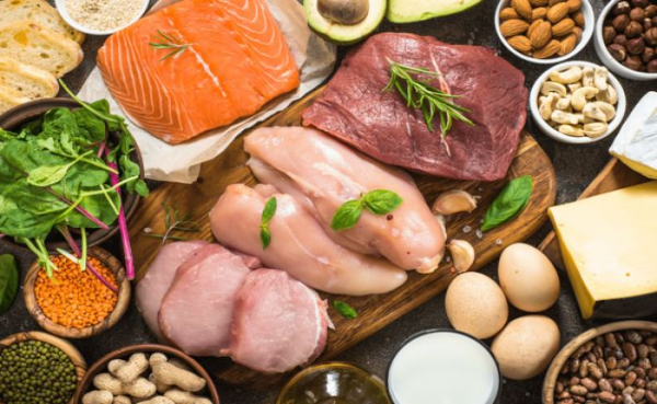 Protein hewani untuk anak