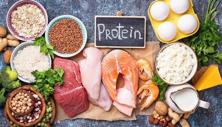 Makanan kaya protein