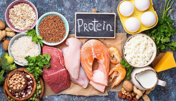 Makanan kaya protein