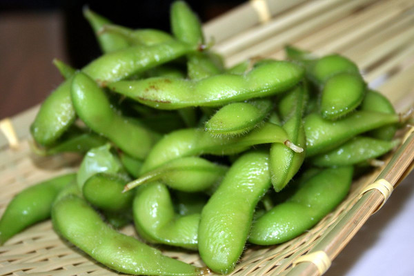 Makanan kaya Protein