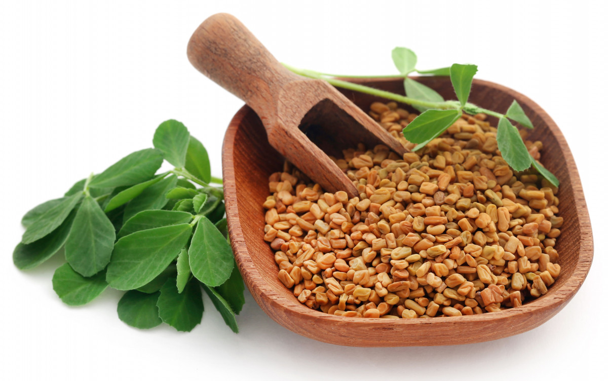 Fenugreek