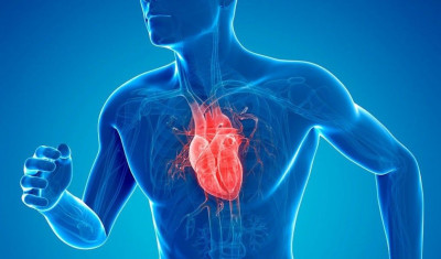 Tips Membuat Jantung Anda Sehat Selama Pandemi Corona
