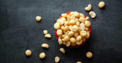 Manfaat Kacang Macadamia Bagi Tubuh