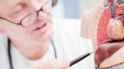 Hepatomegali, Ketika Ukuran Hati Membesar dan Sebabkan Masalah