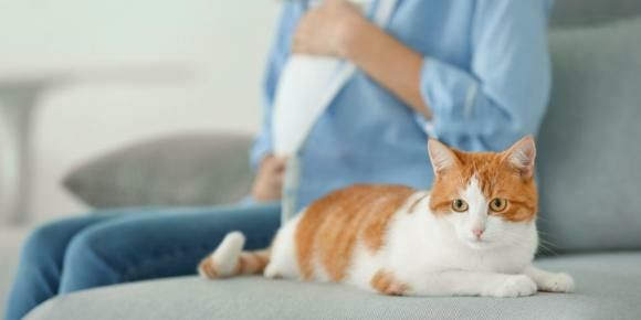 Dekat Dengan Kucing Saat Hamil Bisa Keguguran, Benarkah?