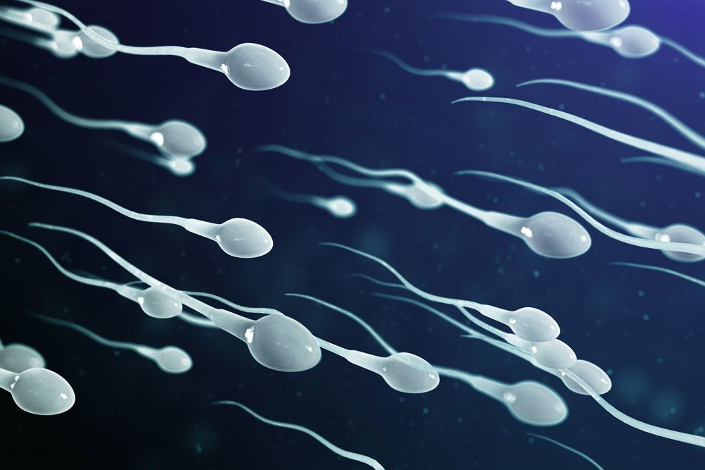 perbedaan sperma dan cairan pra ejakulasi
