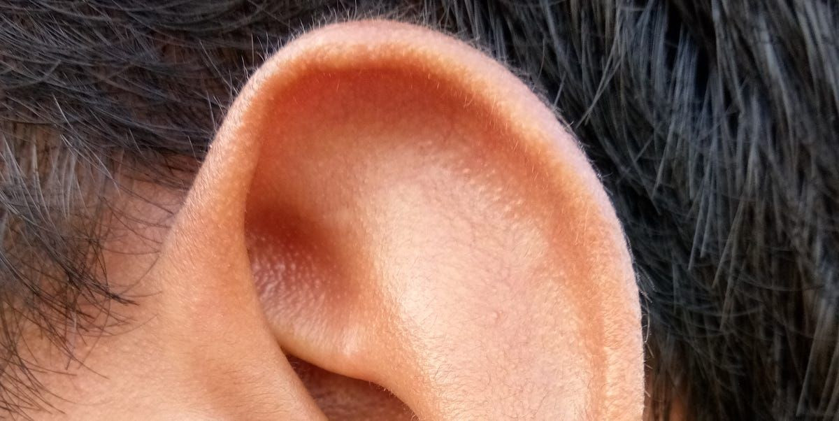  kulit telinga