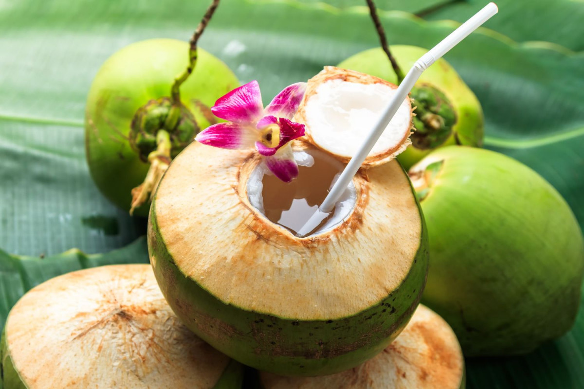 Kelapa