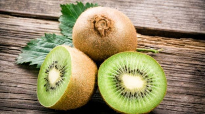 Kiwi, Solusi Alami Atasi Sembelit