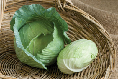 Ini 5 Manfaat Kol. Yuk, Makan Sekarang!