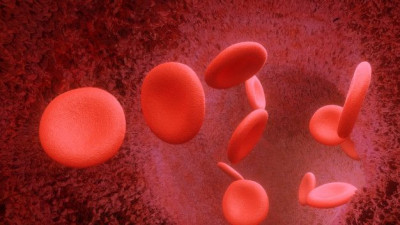 Hemoglobin: Hal-Hal Yang Patut Diketahui