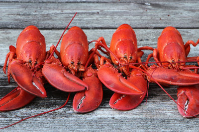 Bakso Lobster Viral! Kenali Kandungan Gizinya