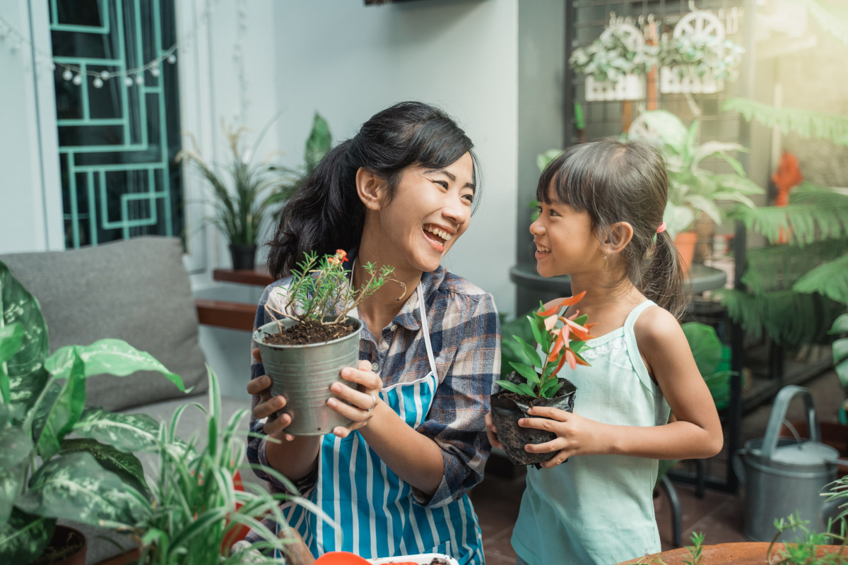 berkebun