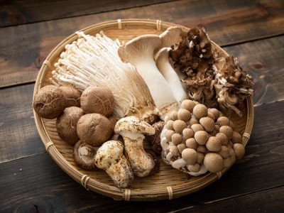 6 Kandungan Nutrisi yang Bisa Diperoleh dari Konsumsi Jamur