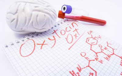 Oksitosin, Hormon Cinta dengan Banyak Fungsi