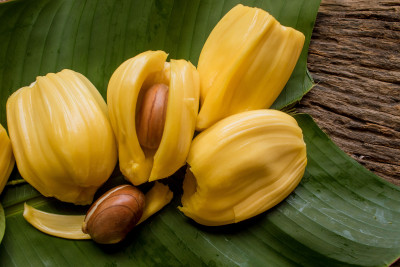 Buah Nangka untuk Memperkuat Sistem Kekebalan Tubuh