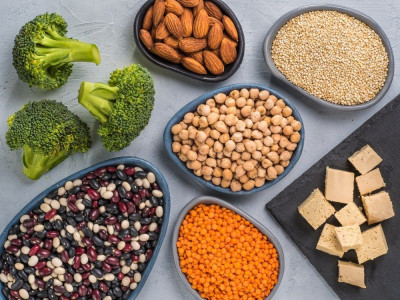 Mengapa Seorang Vegan Perlu Mengonsumsi Makanan Alternatif Protein?