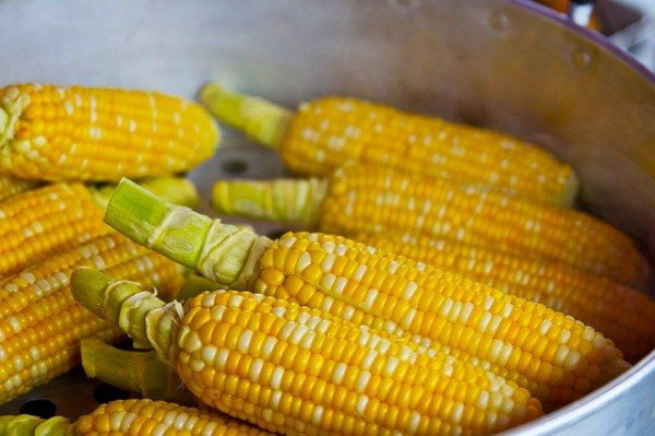 Jagung