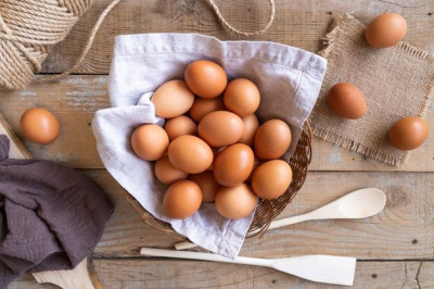 Inilah Beberapa Makanan yang  Mudah Dicerna Oleh Tubuh