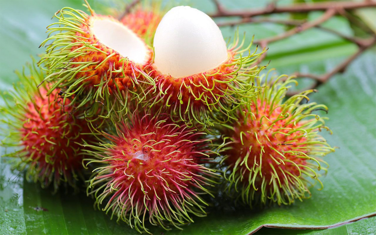 Rambutan