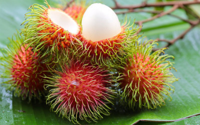Berbagai Macam Manfaat dalam Buah Rambutan