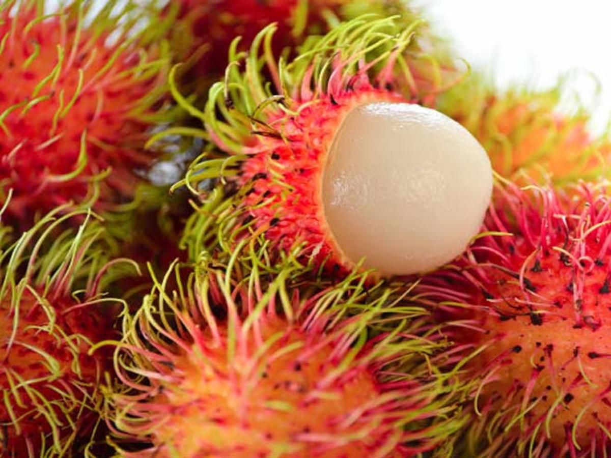 Manfaat Rambutan Untuk Ibu Hamil