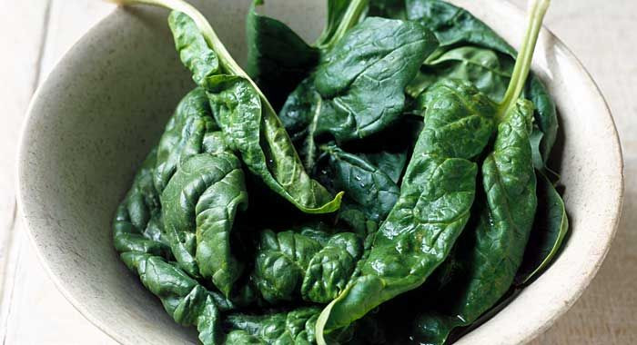 Inilah Sayuran Yang Mengandung Protein Tinggi Yesdok